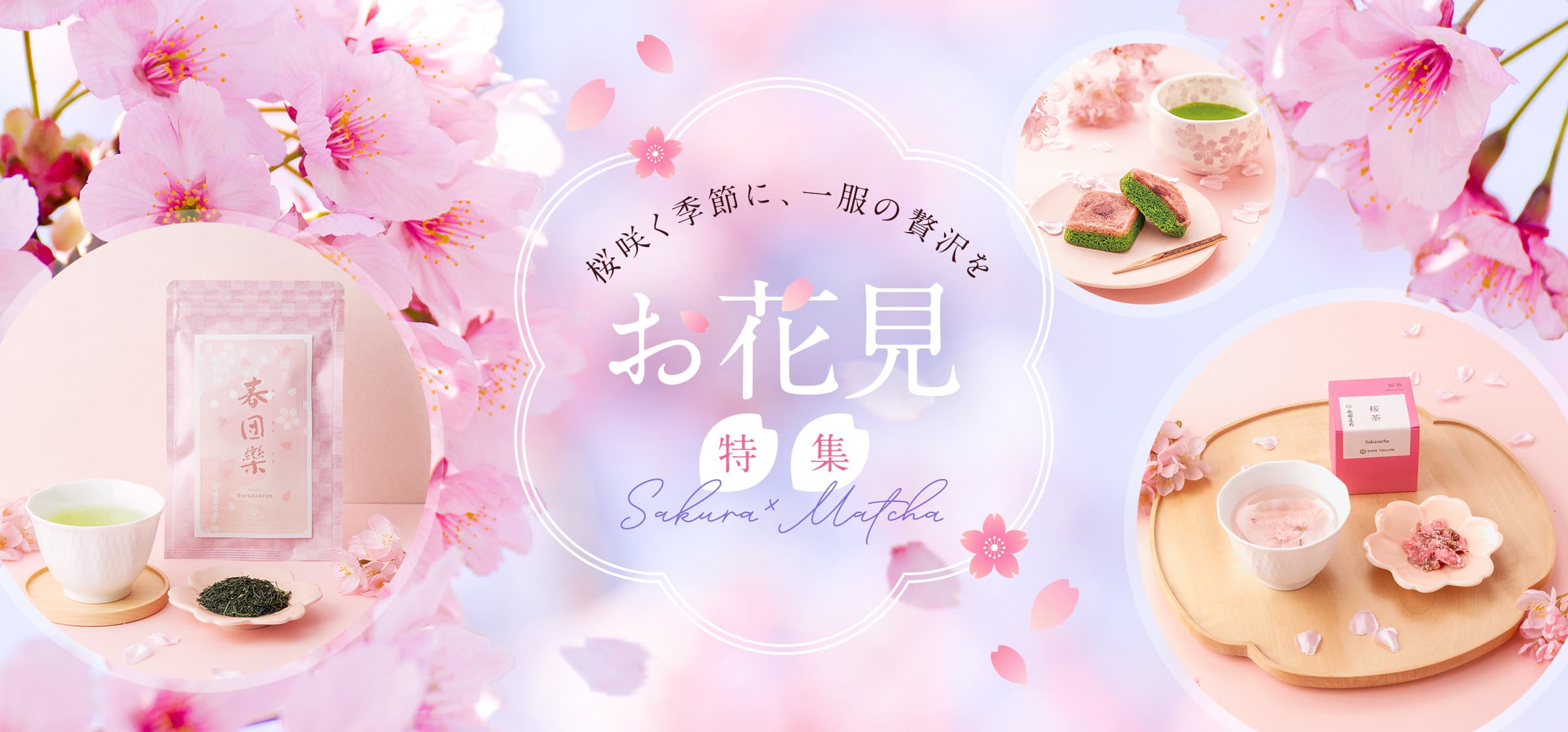 桜しぐれ　お花見　茶事茶会好適品 $15 contains 5269 SAKURA ＜季節限定のお茶＞ 5604 SAKURA & BERRY