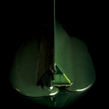 画像をギャラリービューアに読み込む, 抹茶ショコラノエルプレミアム2025