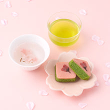 画像をギャラリービューアに読み込む, 春のお花見抹茶セット2026