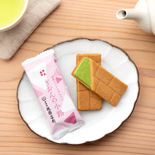 画像をギャラリービューアに読み込む, 47633 抹茶菓子詰合せ