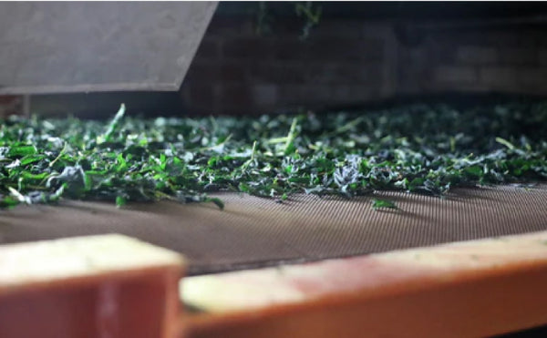 お茶をミルで仕上げるとは　茶葉の特性に合わせて細かく裁断し仕上げたお茶についてご紹介いたします。