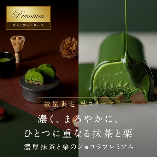 愛国製茶　宇治抹茶　11個セット 愛国製茶 宇治抹茶 11個セット 愛国製茶 宇治抹茶 11個セット